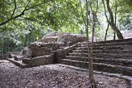 Group B at Palenque Ruins - palenque mayan ruins,palenque mayan temple,mayan temple pictures,mayan ruins photos